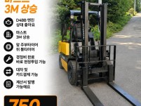 현대2.5톤 스텐다드 중고지게차